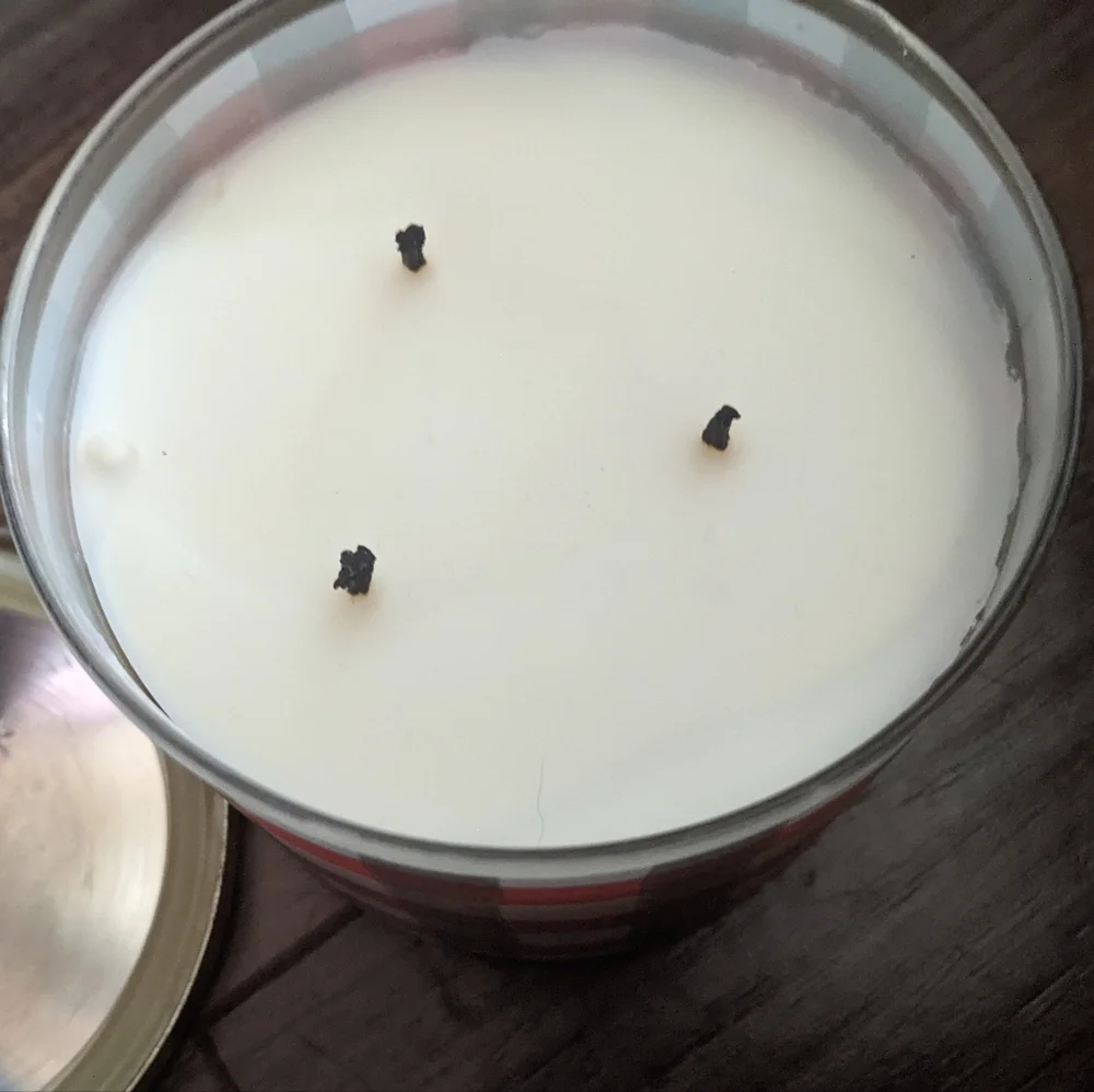 Goose Creek - Small Batch Apple Cider 3-Wick Soy Candle | 14.5 Ounces (45 Hours)